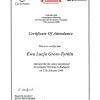 certyfikat-2008-1